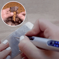 CarveMaster™ – Anpassbarer Elektrischer Gravierstift | 50% Rabatt - Klarwen