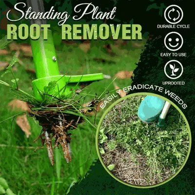 RootVanish™ Dauerhafter Wurzelentferner | NUR HEUTE 50% RABATT - Klarwen